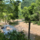 Illustration for article titled Scenic Appalachia